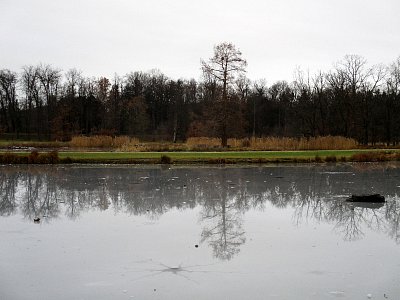 img-9615.jpg