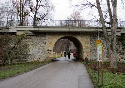 sportovci