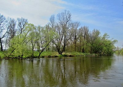 img-9787.jpg