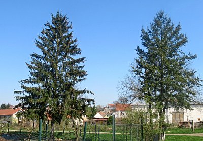 img-9804.jpg