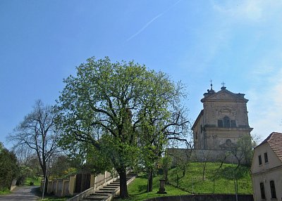 img-9808-1.jpg