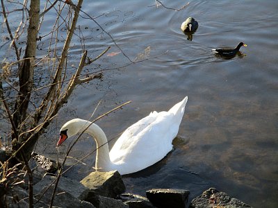 img-9901.jpg