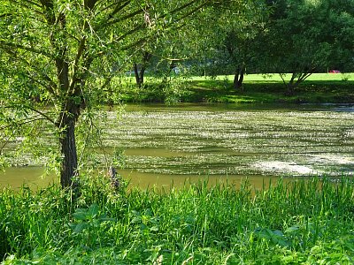 kacov-sazava.jpg
