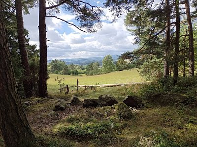 Šumava