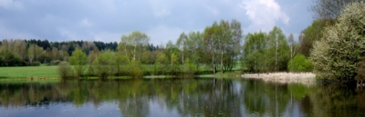 Ranní rybník