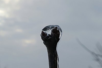 ledem-obalene-3-.jpg