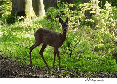 lesdscn3208-2-.jpg