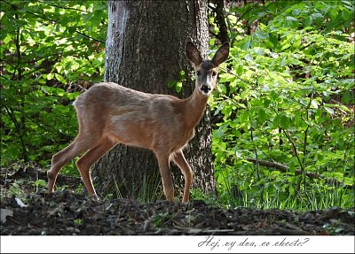 lesdscn3213-2-.jpg