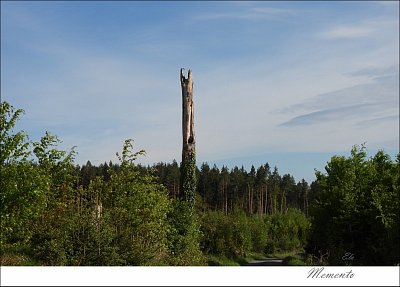 lesdscn3218.jpg