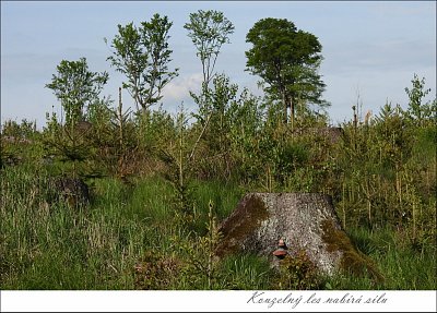 lesdscn3223.jpg