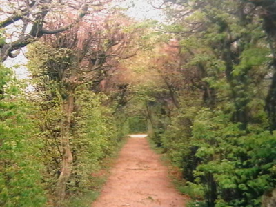 lysa-n.l.-park.jpg