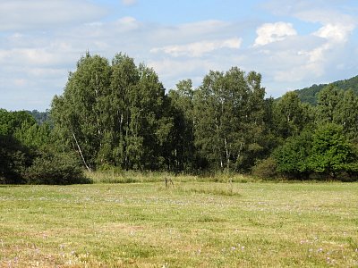 ocuny-3.jpg