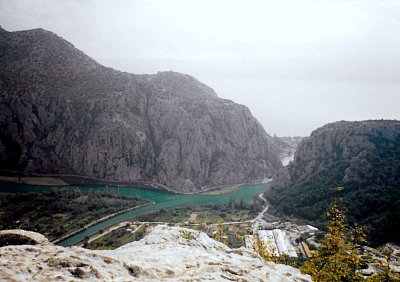omis-1.jpg