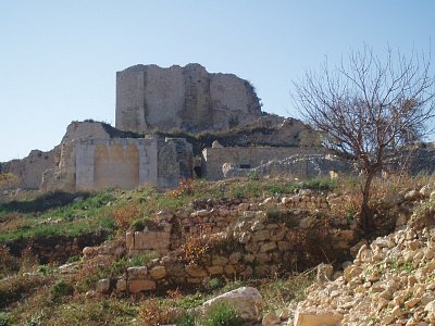 Saladin