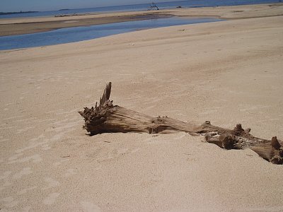 La Plata, Uruguyay