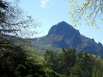 p1020364-1.jpg
