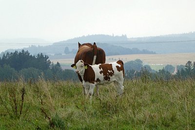 p1050011.jpg
