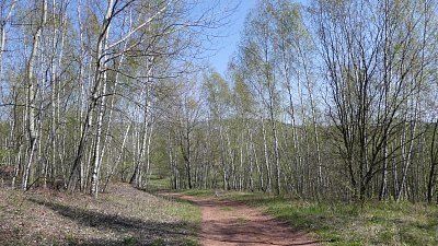 p1080662.jpg