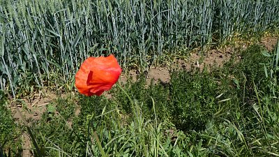 p1090009.jpg