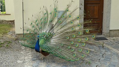 p1090455-1.jpg