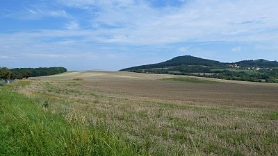 p1100499-4.jpg