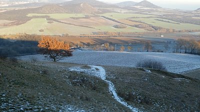 p1110300-1.jpg