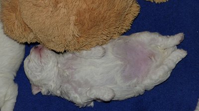 p1110385-1.jpg