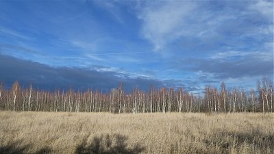 p1110402-1.jpg