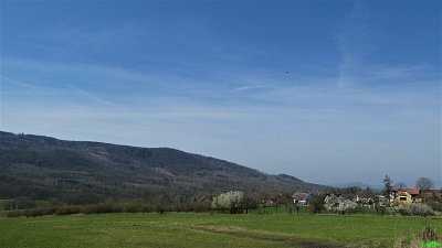 p1110921.jpg