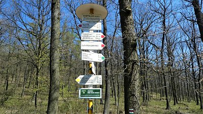 p1110934-1.jpg