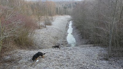 p1130628-1.jpg