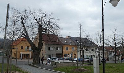 p1140106-1.jpg
