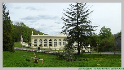 p1140516-1.jpg