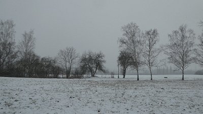 p1170015.jpg