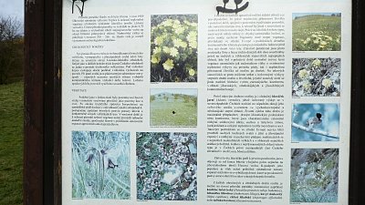 p1170696.jpg