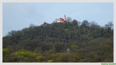 p1170783-17.jpg