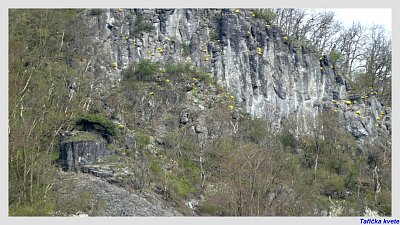 p1170785-17.jpg