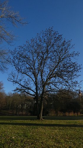 p1180849.jpg