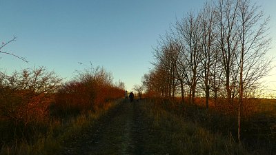 p1180871.jpg