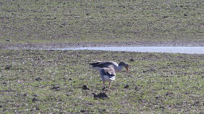 p1190072-1.jpg