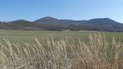 p1190075-1.jpg