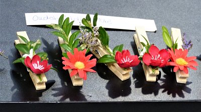 p1200353-1.jpg