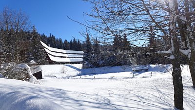 p1230128.jpg