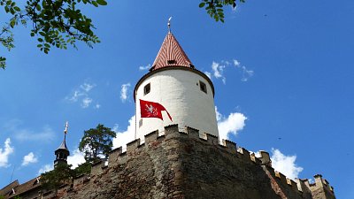 p1230373.jpg