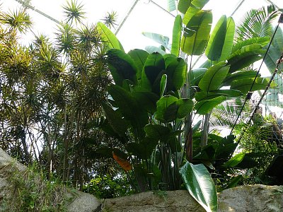 p1360318.jpg