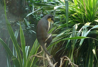 p1360330-a.jpg