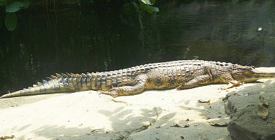 p1360344-a.jpg