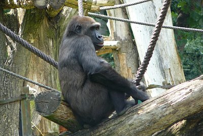 p1360358-a.jpg