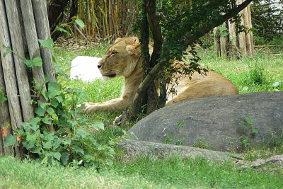 p1360379-a.jpg