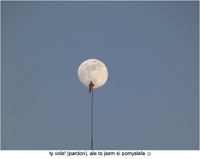 p1420662-postolka-pristala.jpg